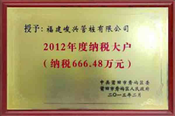 2012年度纳税大户