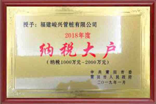 2018年度纳税大户