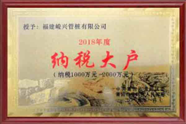 2018年度纳税大户
