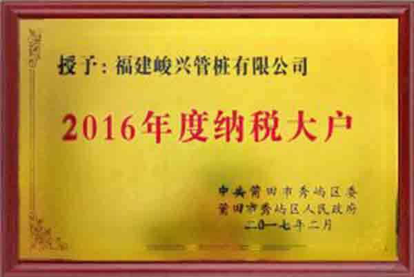 2016年度纳税大户