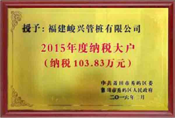 2015年度纳税大户