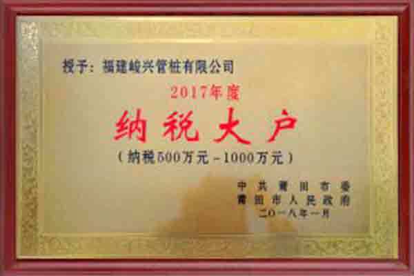 2017年度纳税大户